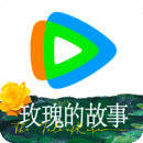 深圳甘露S